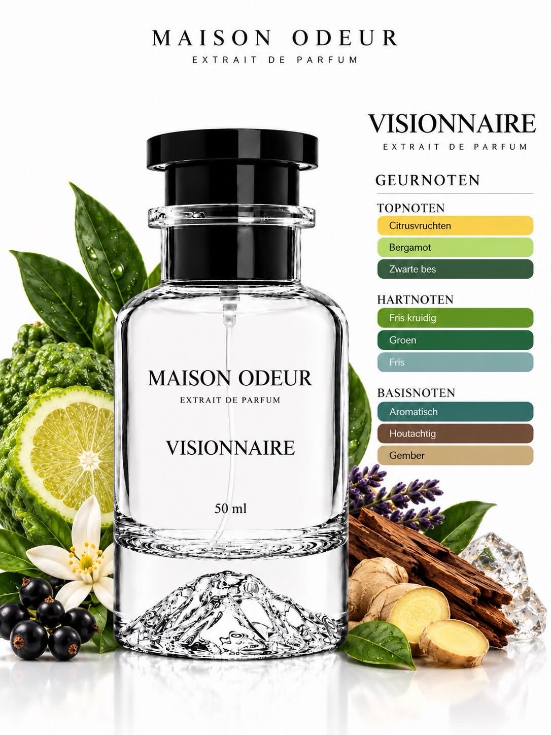 VISIONNAIRE